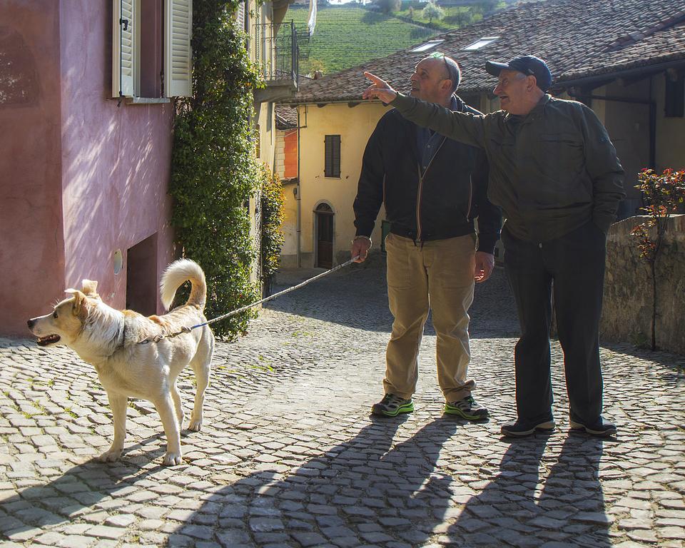 Dimora I Manichei Hotel Monforte D'Alba Luaran gambar
